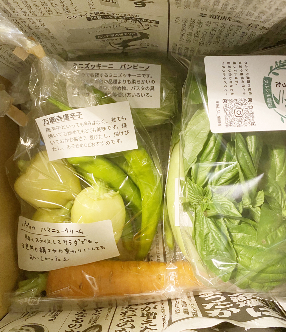 草の堆肥と雨水だけの自然農法で育てた旬の固定種野菜セット【農薬不使用・無肥料】