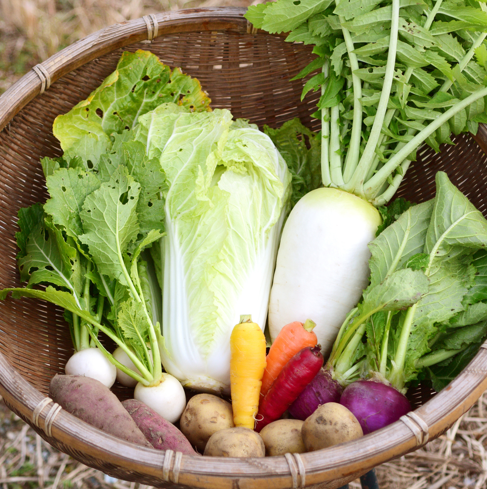 無農薬野菜セット｜旬の詰め合わせ｜たべるとくらすと - たべるとくらすと