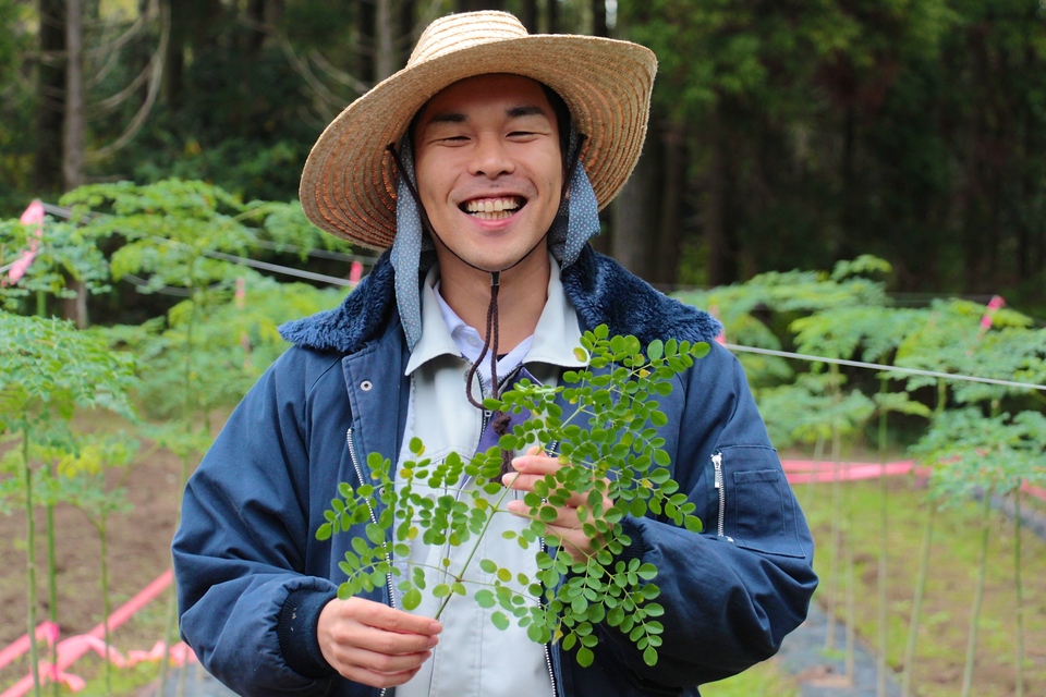 無農薬・無化学肥料栽培＜毎日のモリンガ緑茶＞知覧茶製法・無添加・朝摘み