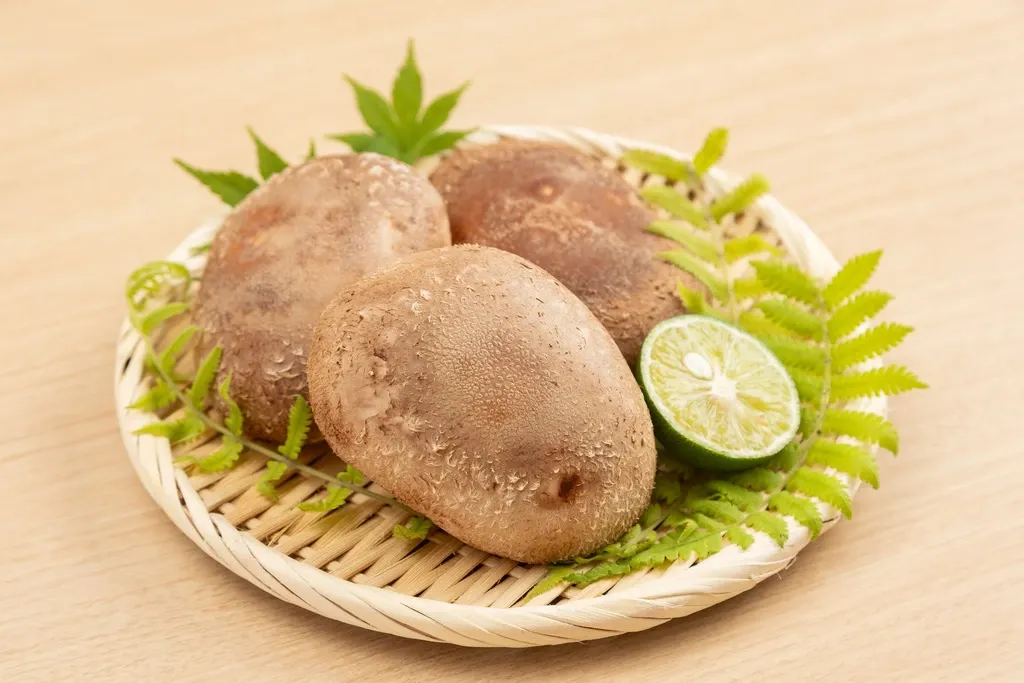 徳島県産希少品種 三ツ星しいたけ恵 徳島椎茸ファーム (徳島県産