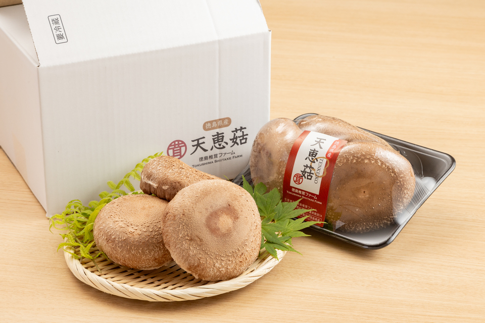 贈り物に】徳島県産希少種の肉厚椎茸＜天恵菇＞を丸ごと味わう贅沢