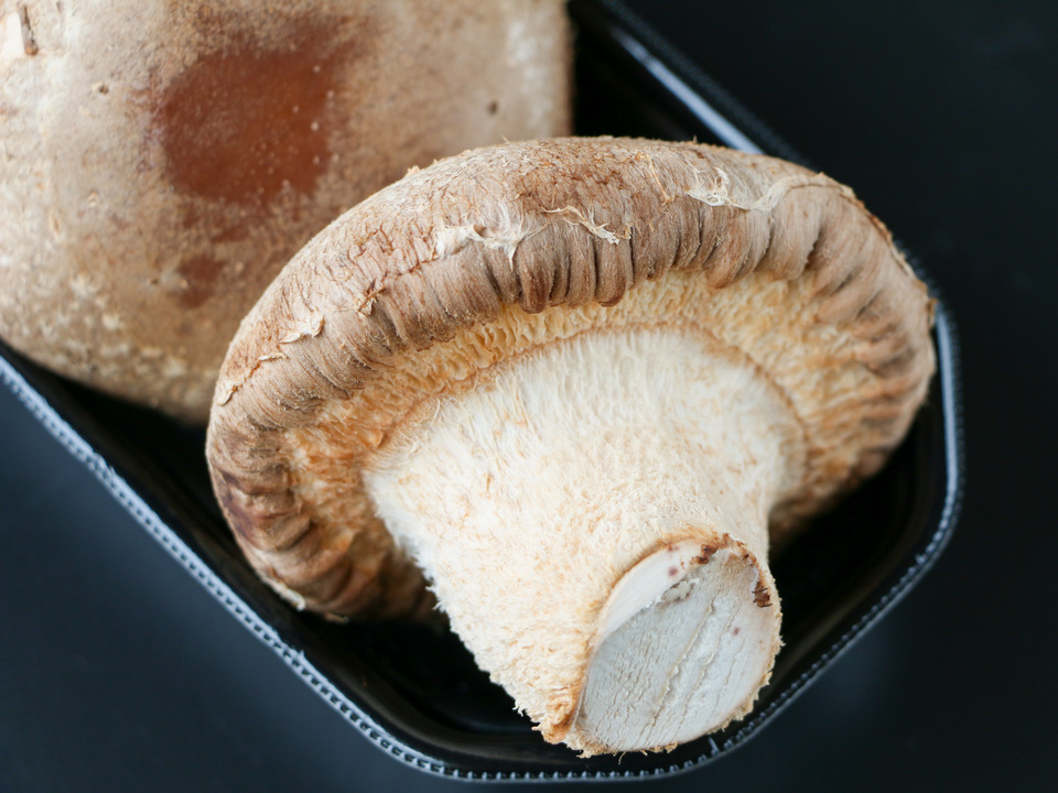 徳島県産希少種の肉厚椎茸＜天恵菇＞農薬化学肥料不使用・ギフトや