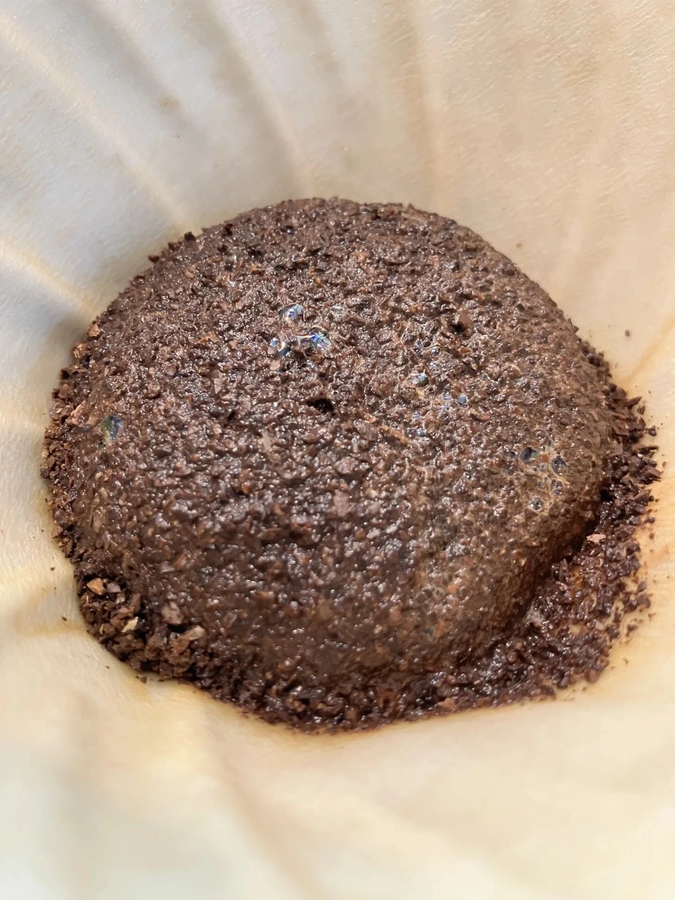 陶器焙煎<米麹発酵×珈琲豆ブレンド 「のぼる。」>農薬・化学肥料不使用