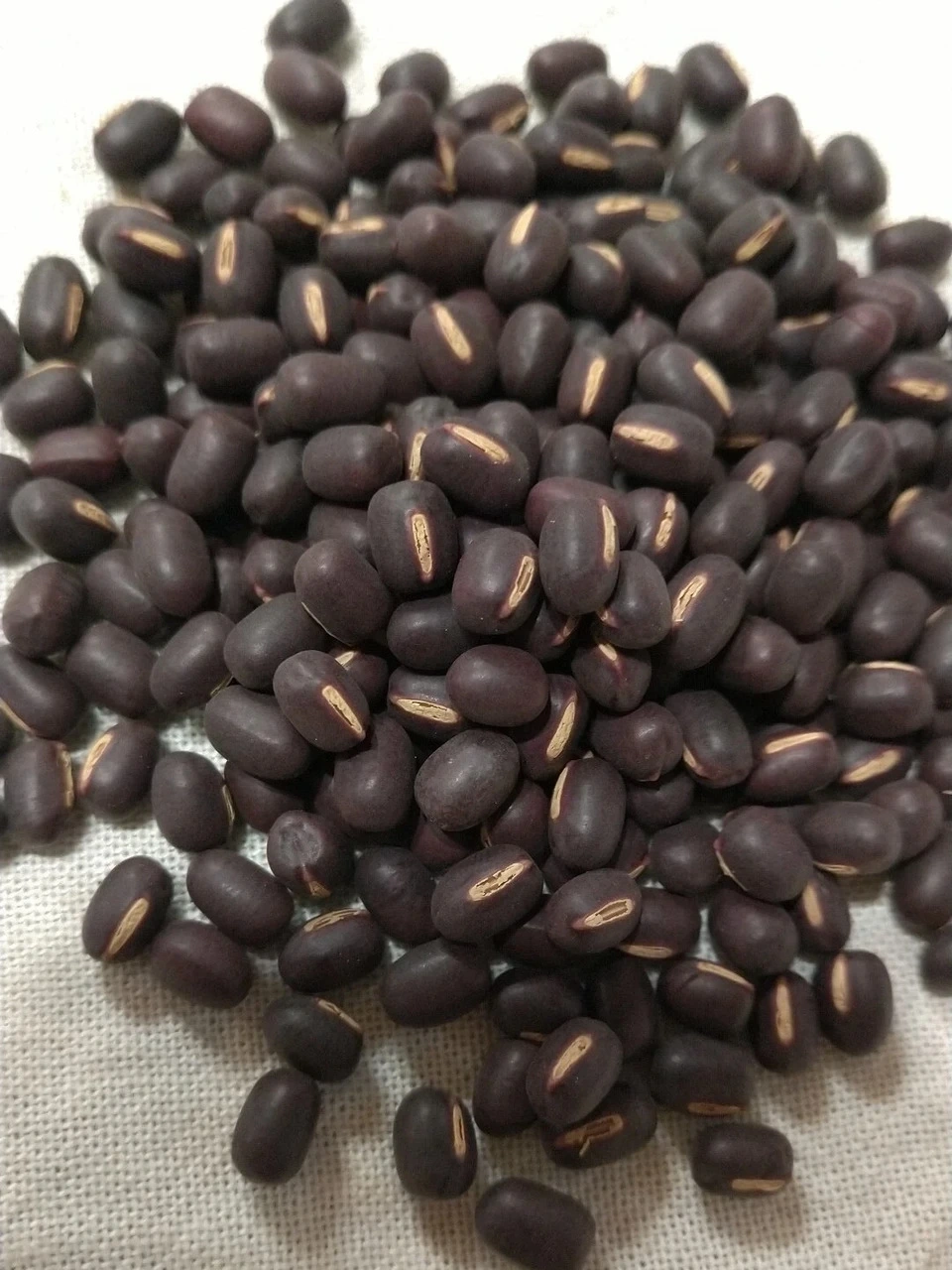 農薬・化学肥料不使用＜陶器焙煎小豆茶＞　6g×10袋