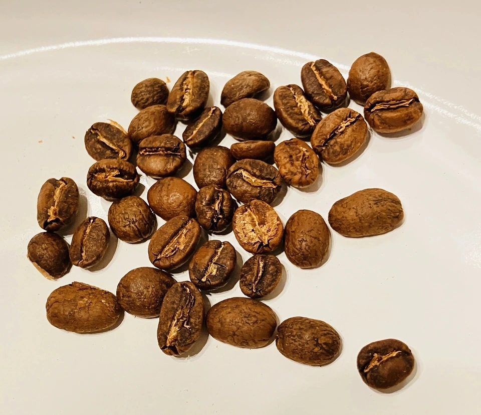 陶器焙煎＜中煎り/ペルー珈琲豆「緑水の土」＞農薬・化学肥料不使用