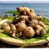 高知県産　農薬不使用有機肥料　生姜　20kg 高知県産 農薬不使用有機肥料 生姜 20kg 高知県産 農薬不使用