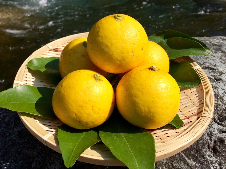 【極少量販売!】夏空の小夏 農薬・化学肥料・除草剤不使用