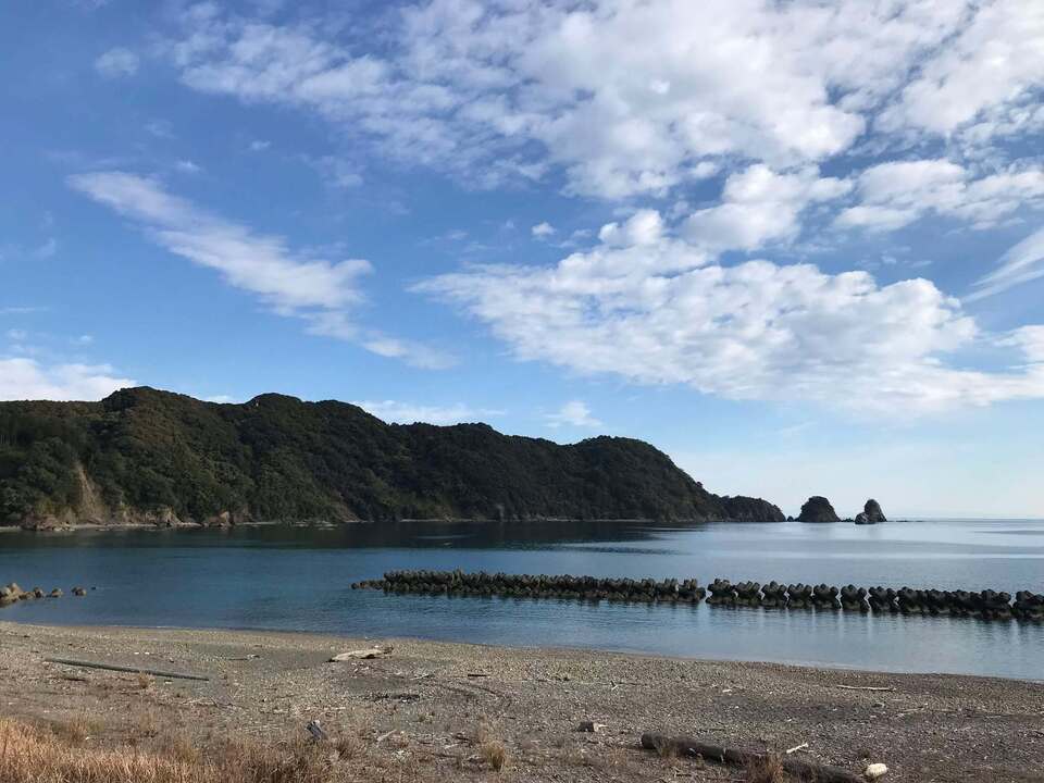【高知県産・自然栽培】ぎゅぎゅっとジューシー!「潮騒のレモン」