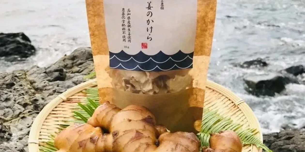 メール便・ラベルレス】生姜のかけら(乾燥スライス) 潮と空農園 (高知