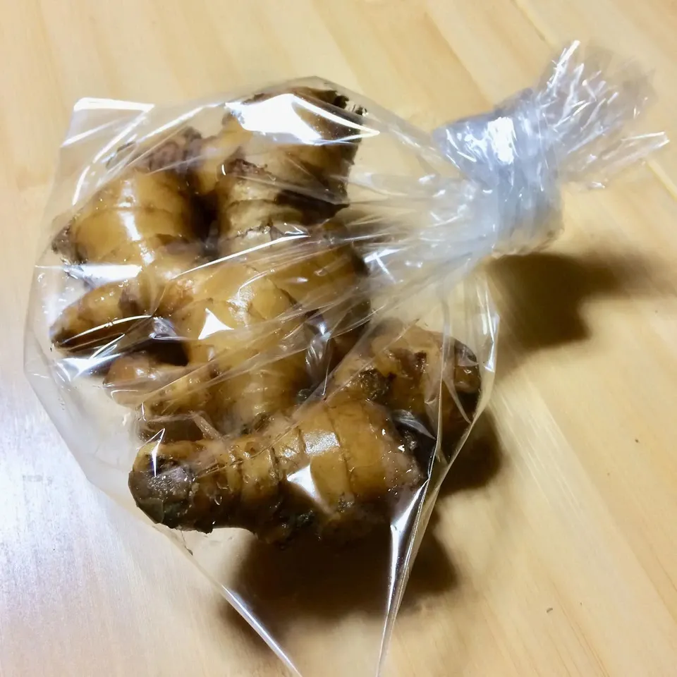高知県産　農薬不使用有機肥料　生姜　5kg 高知県産 農薬不使用有機肥料 生姜 5kg 野菜