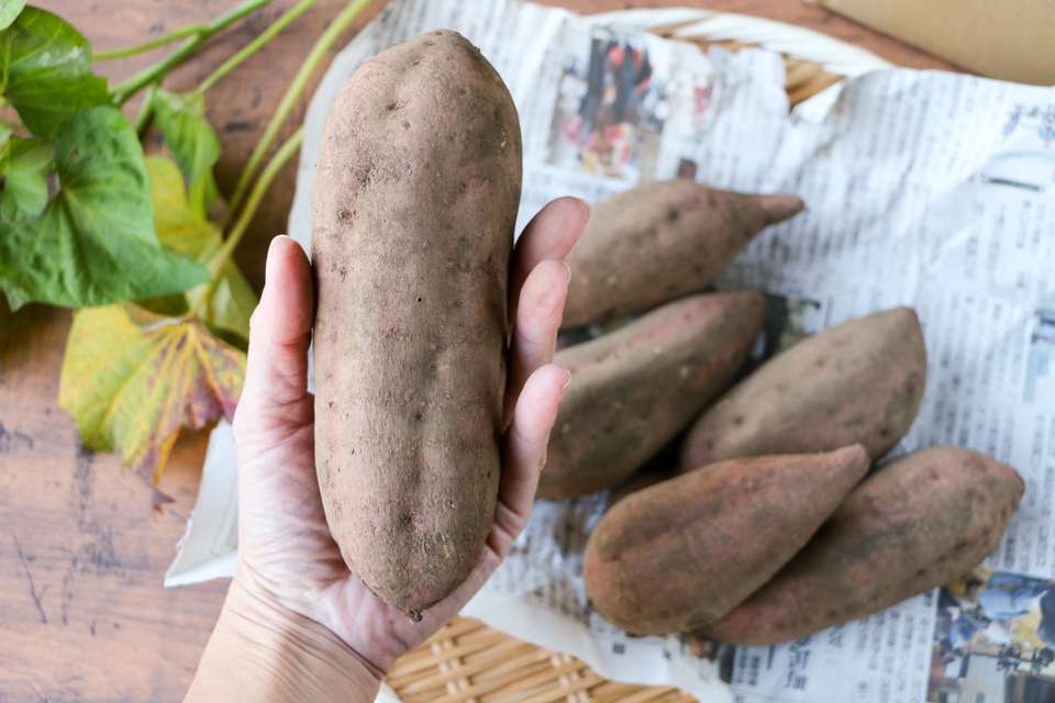 ねっとり甘~い熟成<安納芋>完全無農薬・無肥料・微生物農法栽培