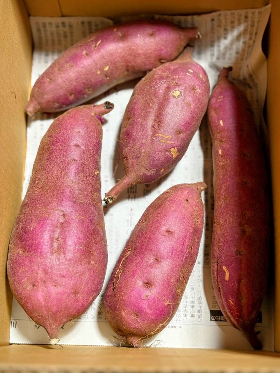 懐かしいほっこり甘い熟成<紅あずま>完全無農薬・無肥料・微生物農法栽培