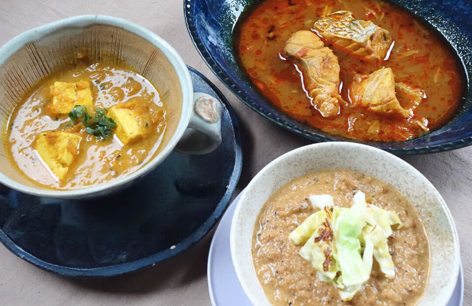 お得な定期便<トッキのおまかせセット>無添加・無化学調味料で作る旬のカレー