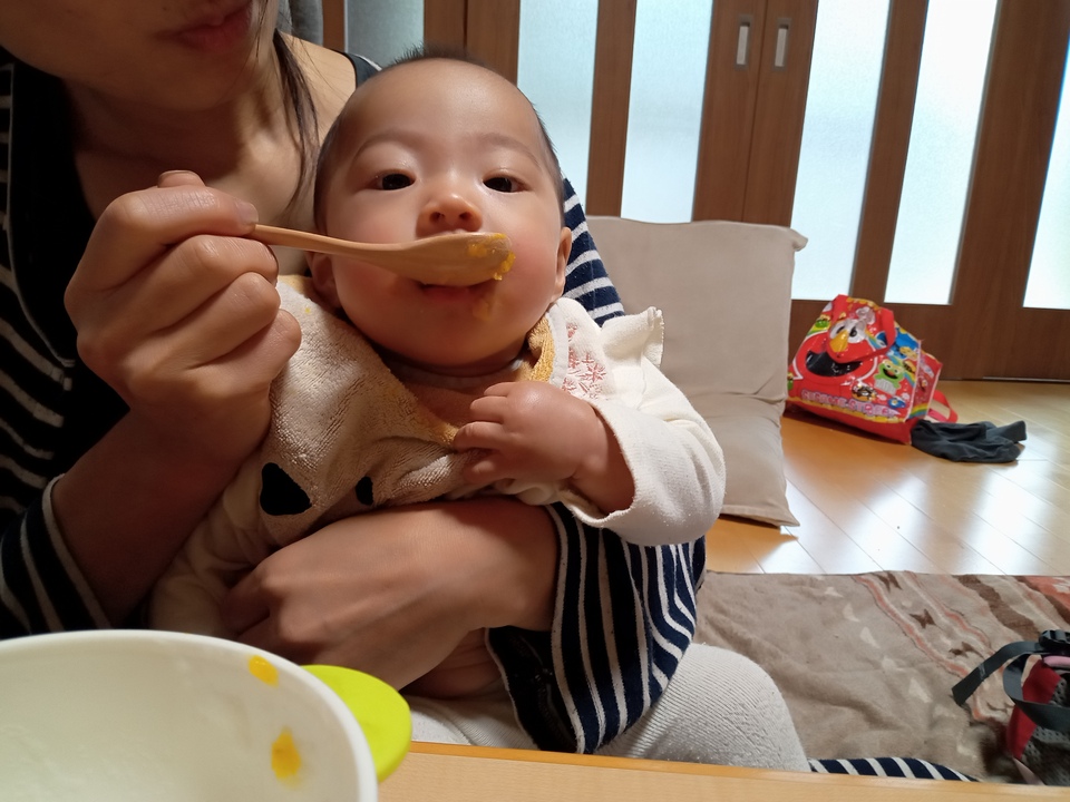 自然栽培かぼちゃで作る<無添加かぼちゃペースト>冷凍