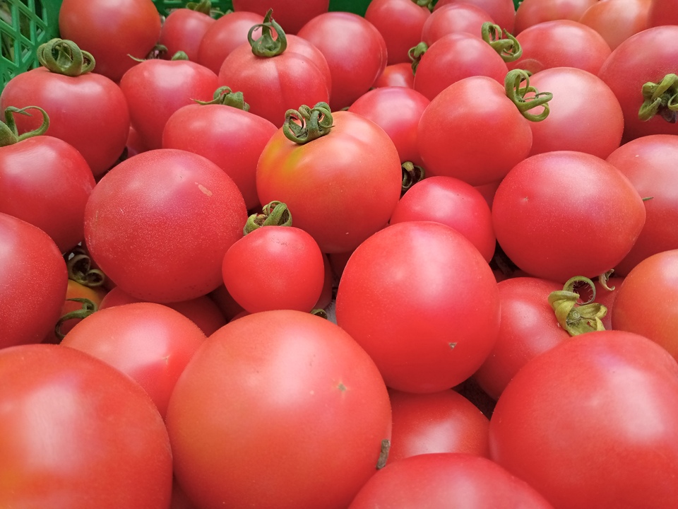 【旬をたっぷり】自然栽培の手渡したくなるお任せ野菜SET