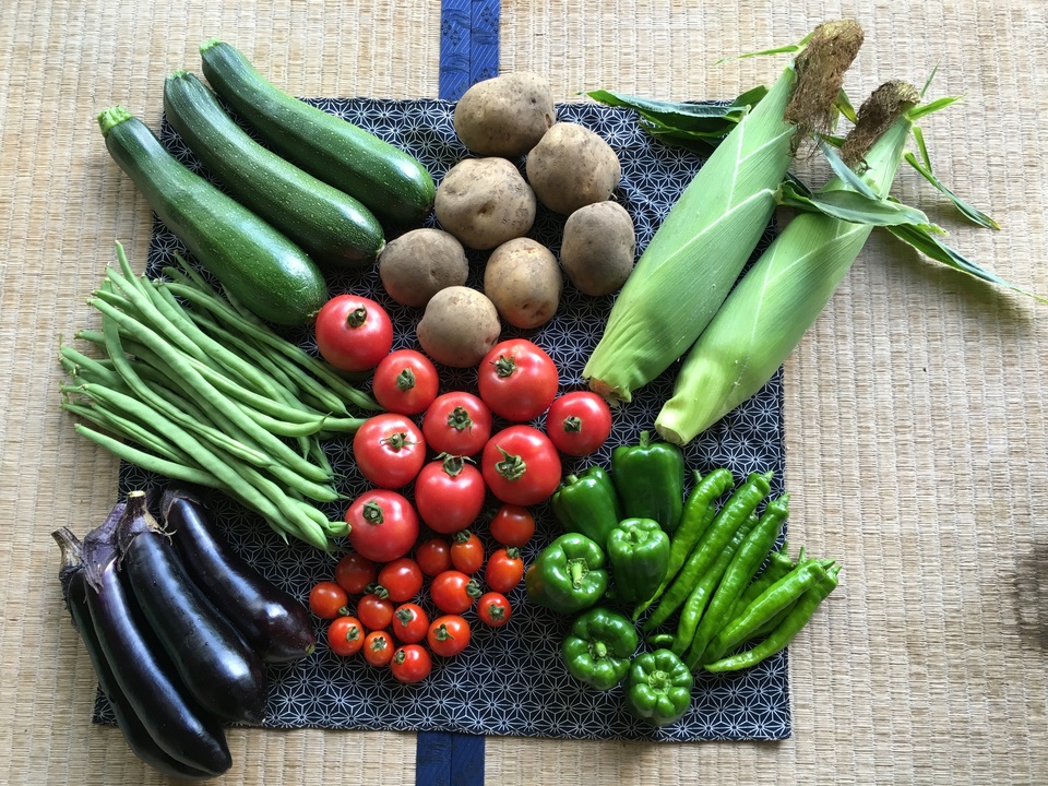 【旬をたっぷり】自然栽培の手渡したくなるお任せ野菜SET