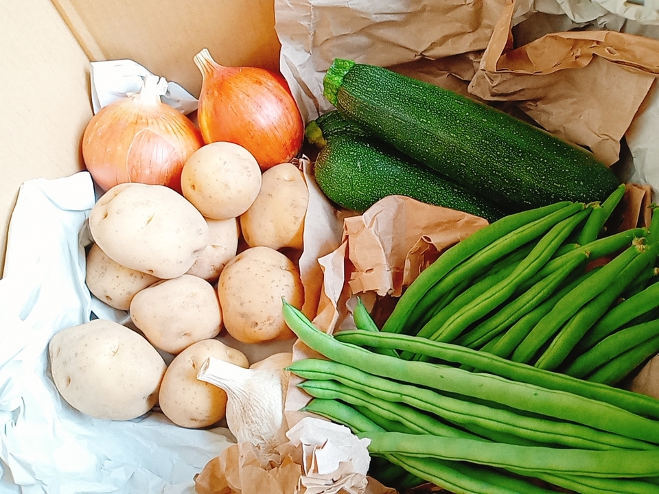 【旬をたっぷり】自然栽培の手渡したくなるお任せ野菜SET