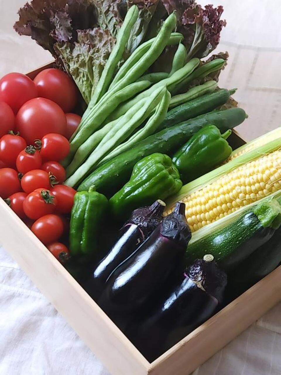 【旬をたっぷり】自然栽培の手渡したくなるお任せ野菜SET