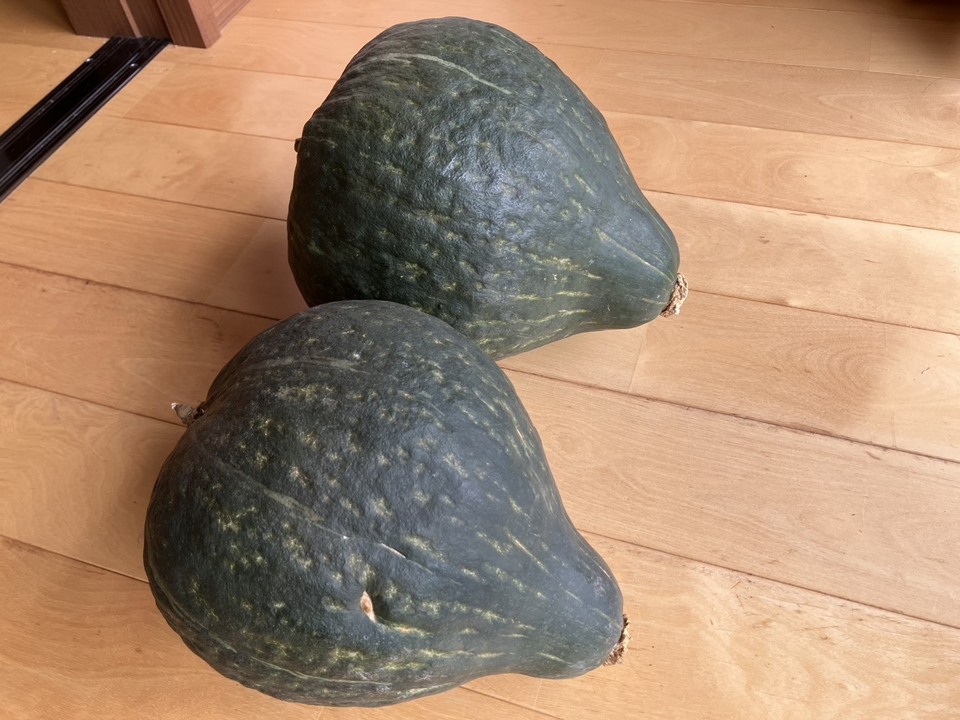 自然栽培かぼちゃで作る<無添加かぼちゃペースト>冷凍