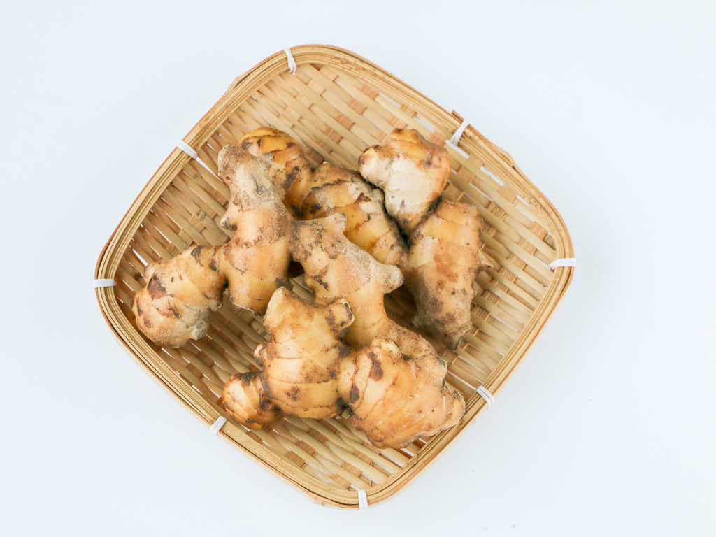 無農薬・無肥料の自然栽培生姜 やーやまや (大分県産) 生姜通販