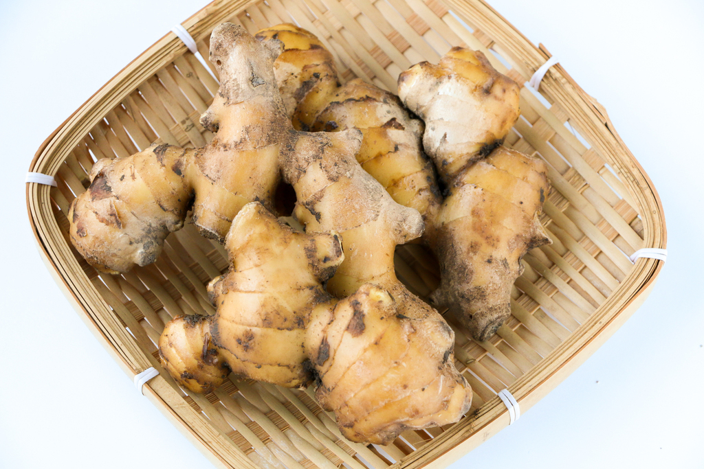 無農薬・無肥料の自然栽培生姜 やーやまや (大分県産) 生姜通販