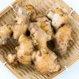 無農薬・無肥料の自然栽培生姜 やーやまや (大分県産) 生姜通販