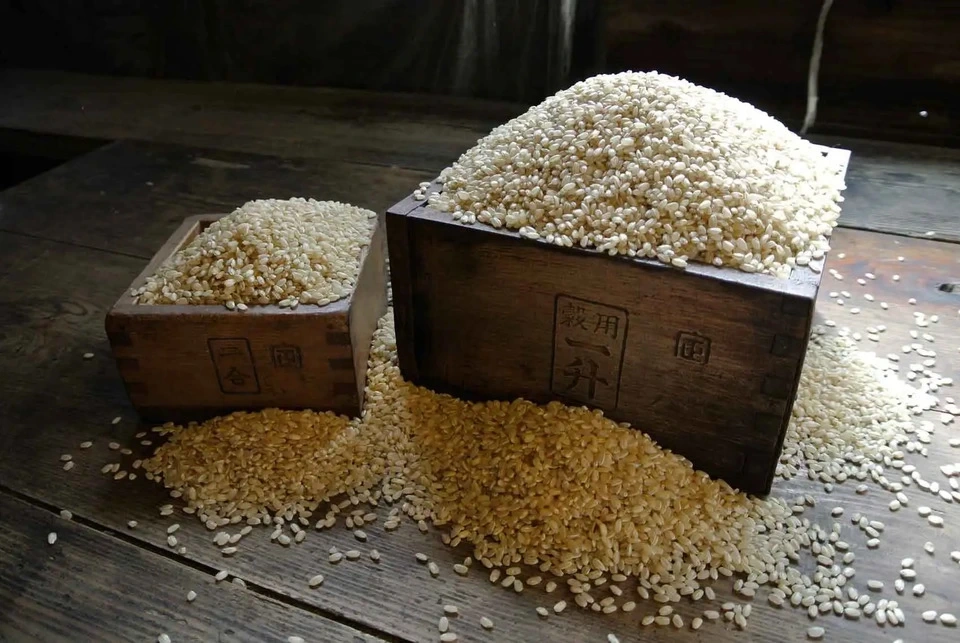 令和7年度産＜ヒノヒカリ＞農薬・化学肥料・動物性肥料不使用