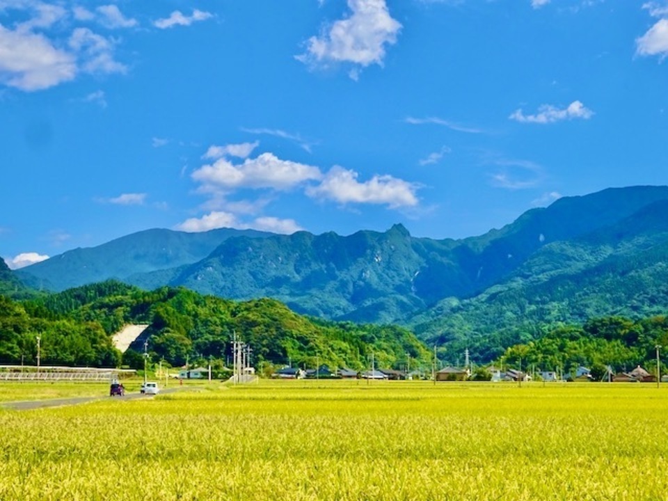 【白米】令和7年産/ 神力 無農薬・無肥料
