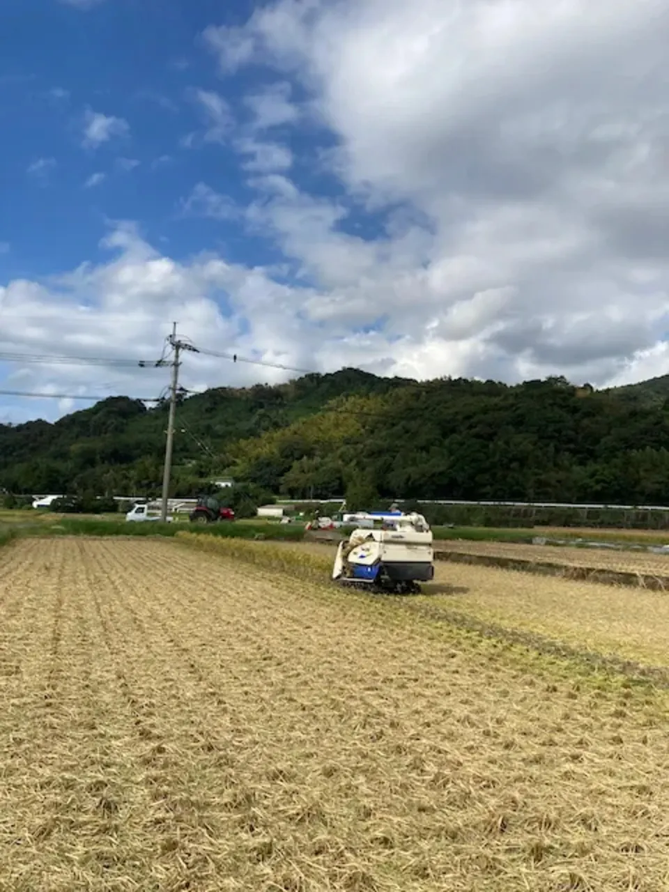 こめ粉