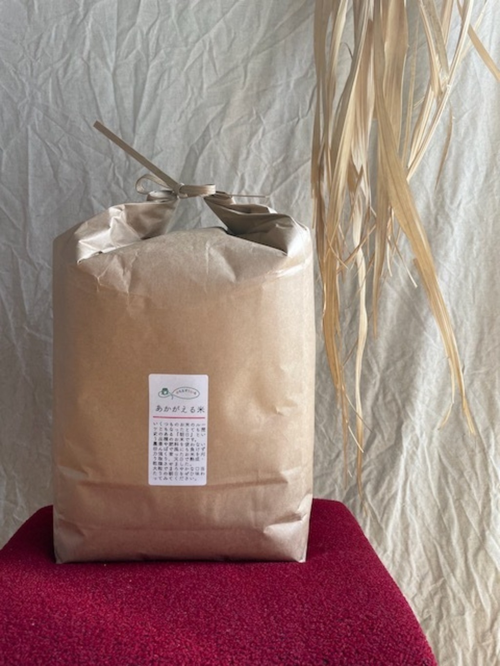 玄米】朝日／令和7年産 ハザ掛け天日干し （無農薬・無肥料） かえるす