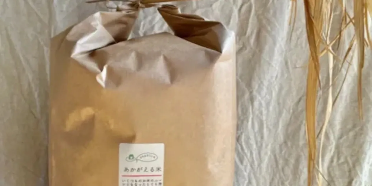 九州・鹿児島で無農薬・無肥料で作った朝日米。噛むほどに味わいが