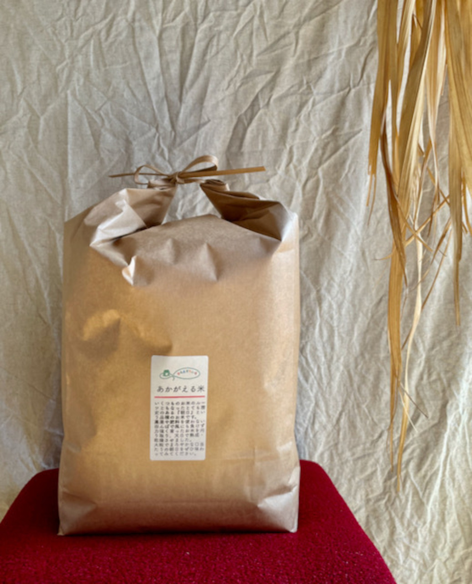 【白米】令和7年産 / 朝日 (無農薬・無肥料)