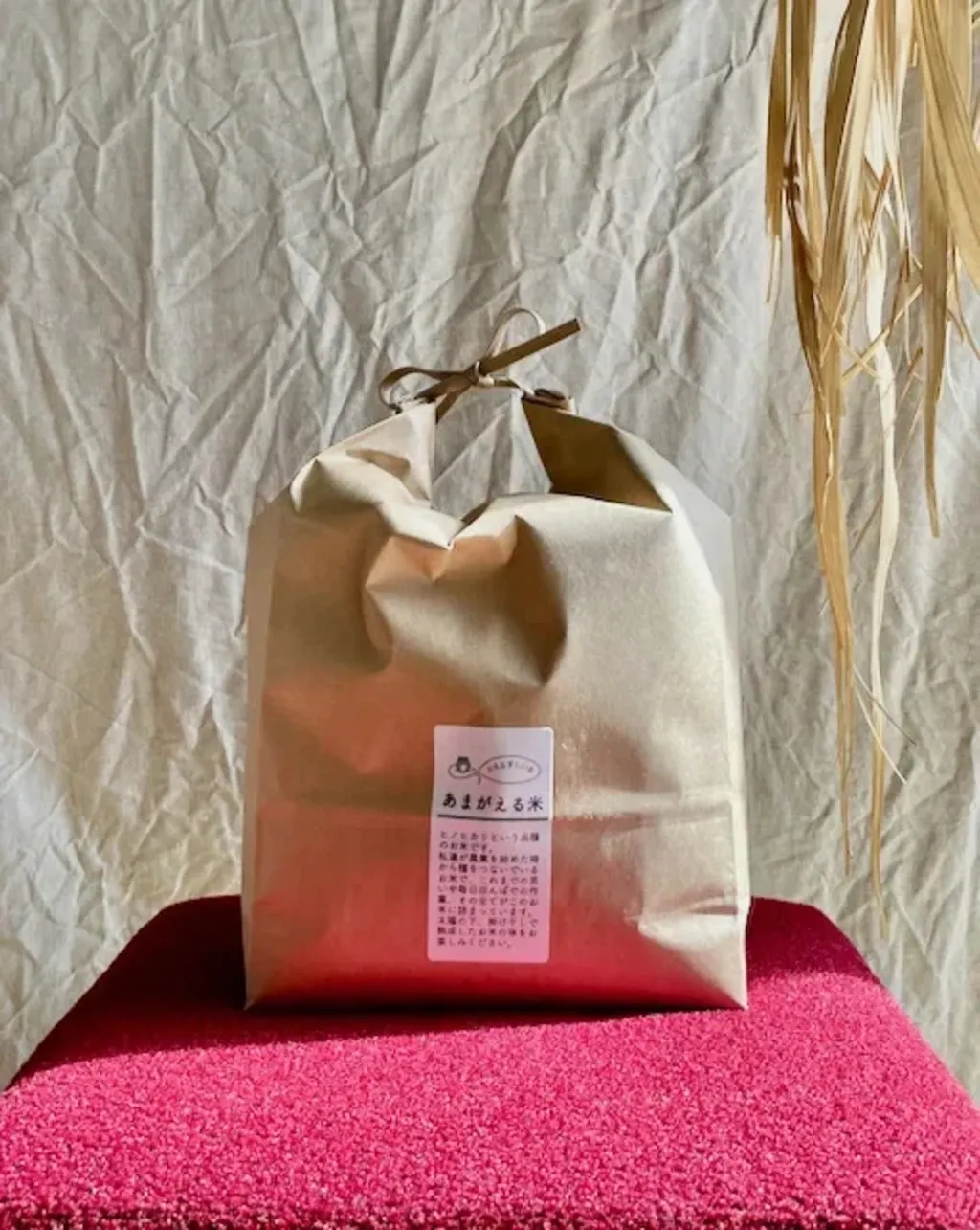 玄米】令和年7産 / ヒノヒカリ （無農薬・無肥料） かえるすたいる