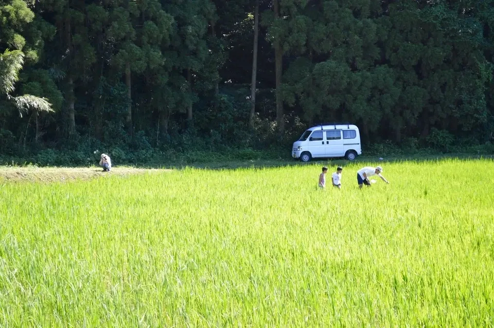 九州・鹿児島で無農薬・無肥料で作った朝日米。噛むほどに味わいが