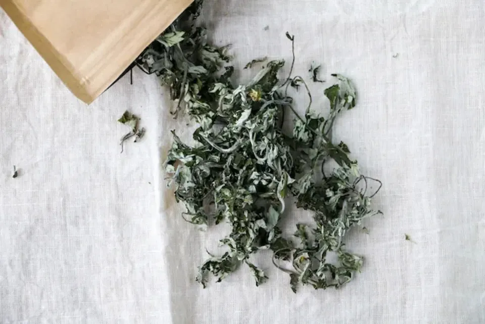 よもぎ茶 無農薬・無肥料栽培 かえるすたいる (鹿児島県産) ハーブ