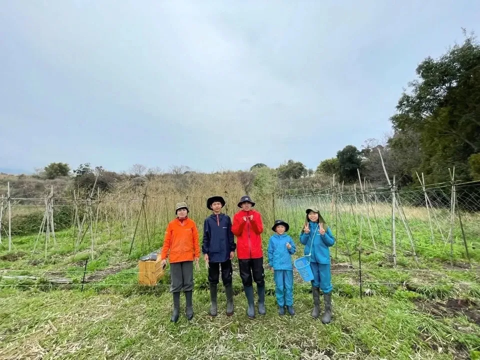 15年間不耕起・無農薬・無肥料栽培の野菜セット かえるすたいる