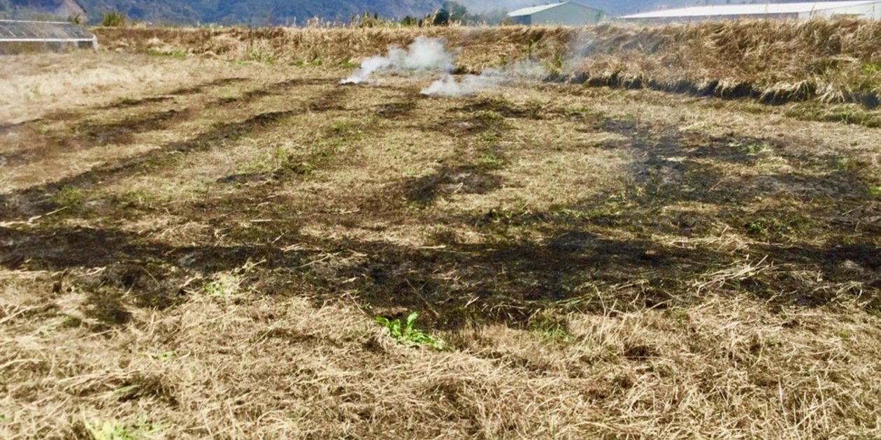 ついに自分の田んぼを手に入れた | お知らせ 生き物がたくさん生き 