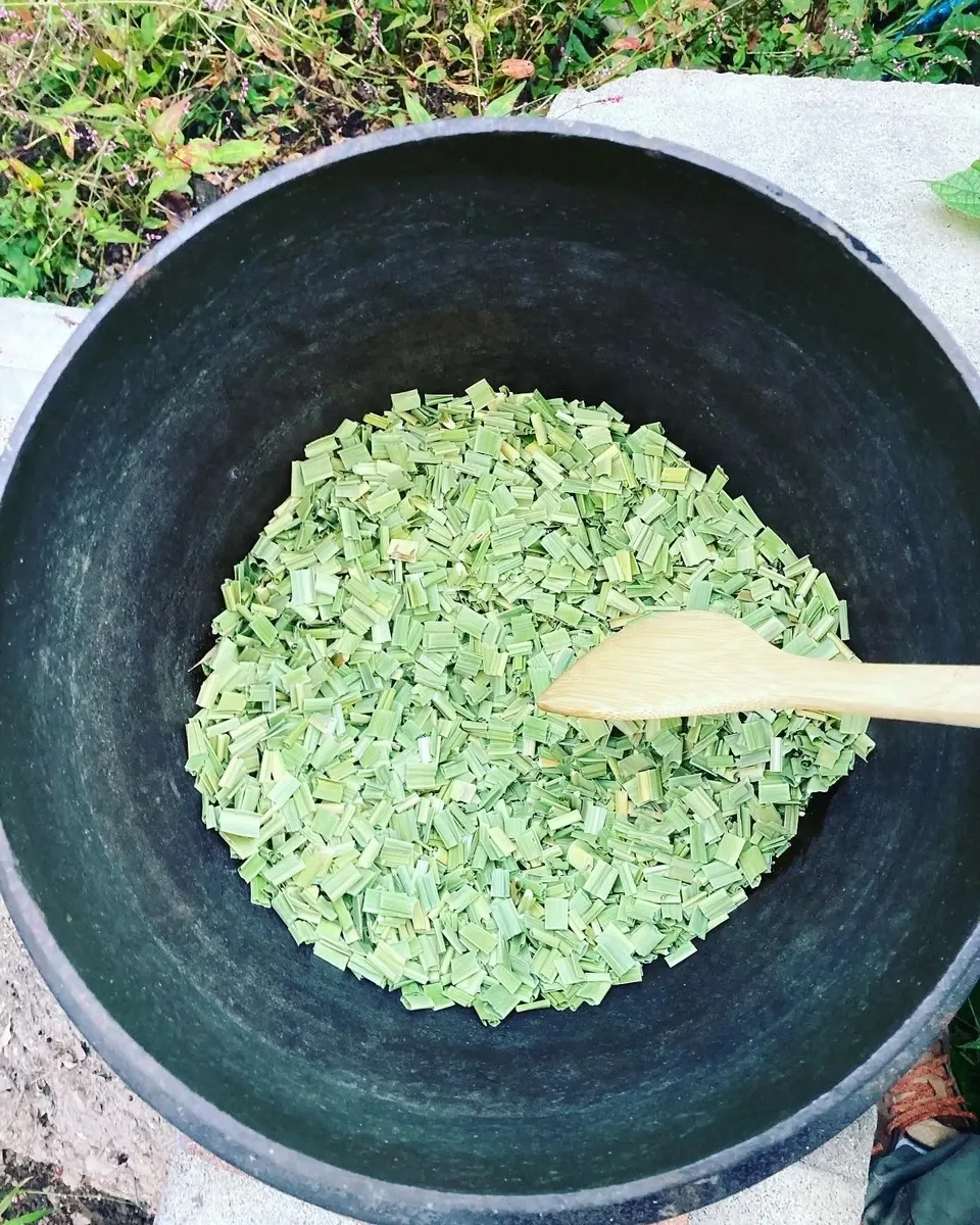 薪火で深煎り焙煎＜真菰茶＞農薬・化学肥料不使用の真菰を香ばしく仕上げたノンカフェインのお茶