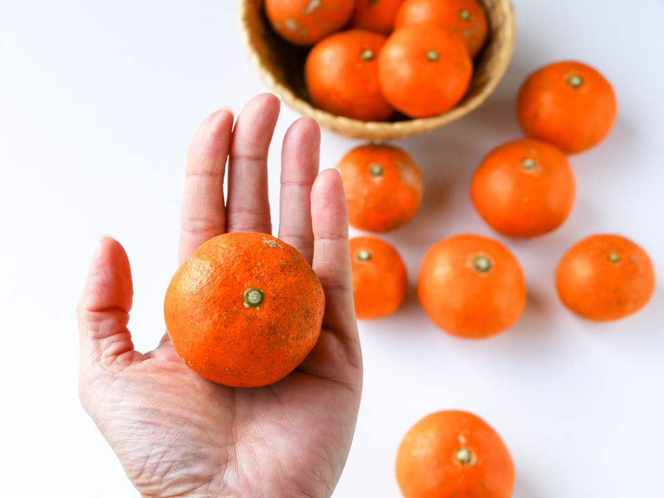 農薬不使用八女茶で育てた濃厚なやまんたみかん5kg