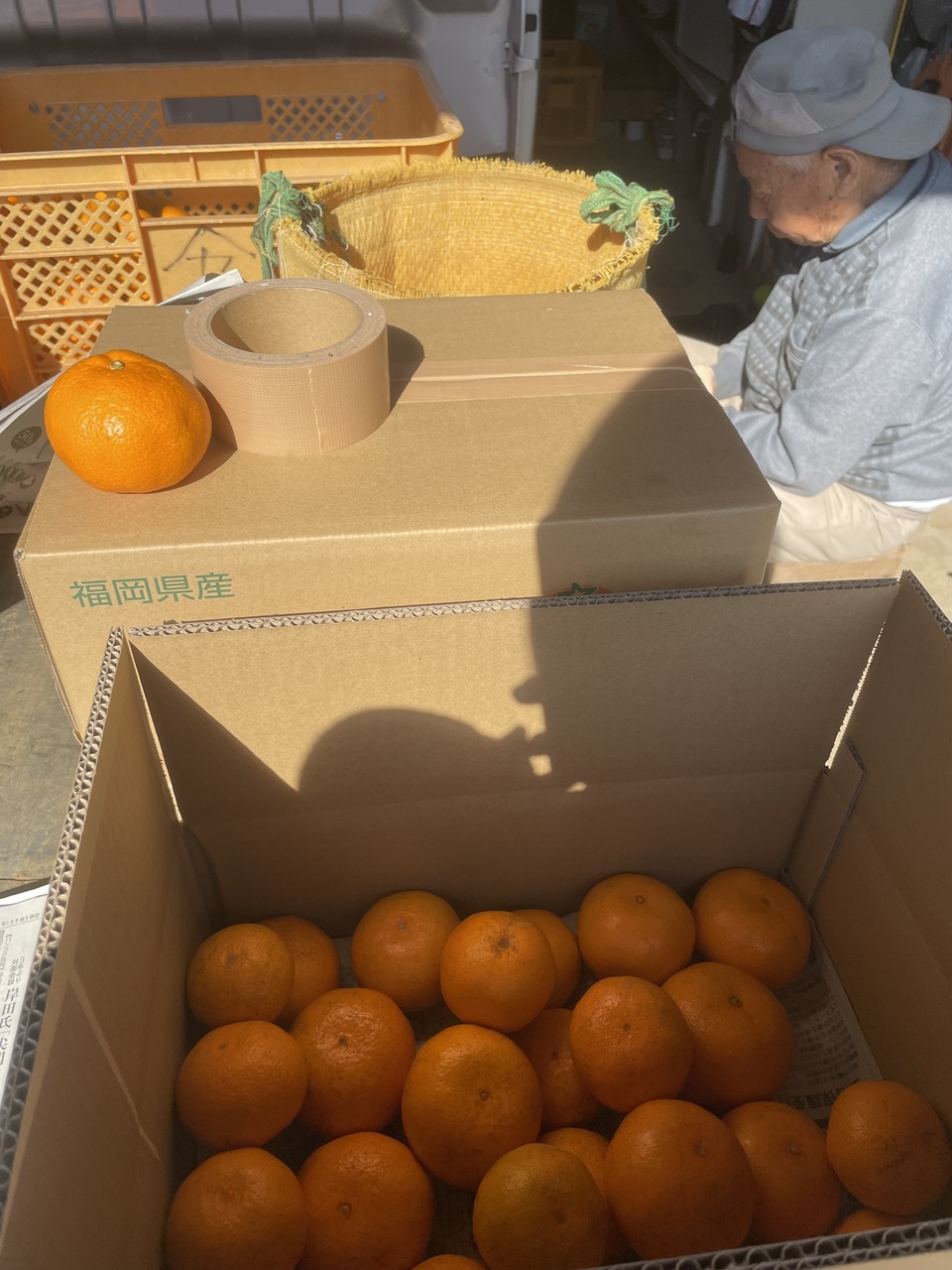 農薬不使用八女茶で育てた濃厚なやまんたみかん5kg