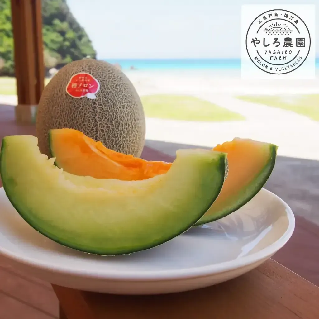 メロン THE BIGEST FRESH CROWN MELON JAPAN 1.7 KG EACH WITH GIFT BOX