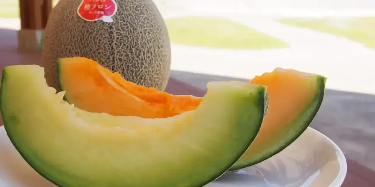 _1260x630_230215125910.webp