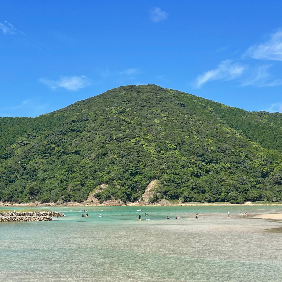 【五島列島産】期間限定皮剥き玉ねぎ・化学肥料・農薬不使用