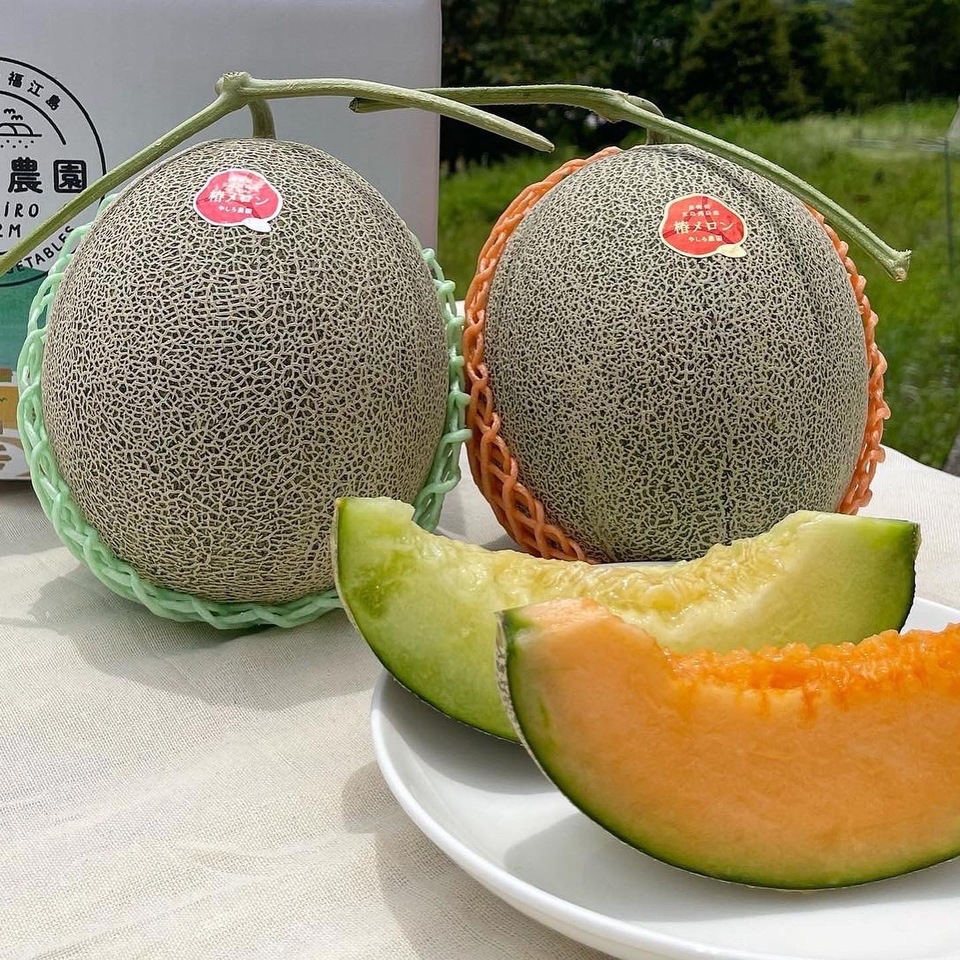 長崎県島原半島産パパイヤメロン大玉6玉×2箱セット 長崎県島原半島産パパイヤメロン大玉6玉×2箱セット - メルカリ