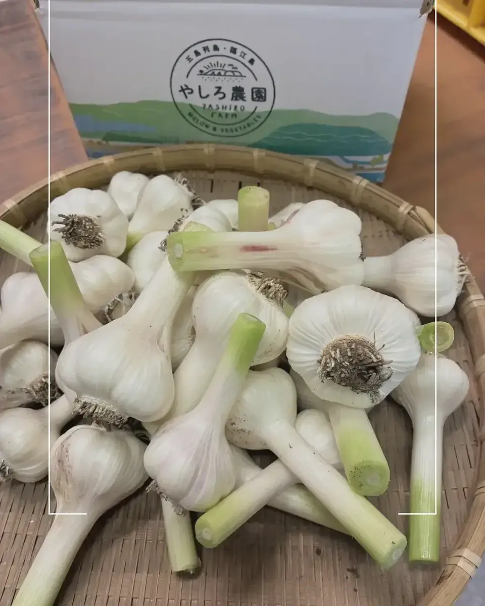みずみずしい「生にんにく」の季節です - たべるとくらすと