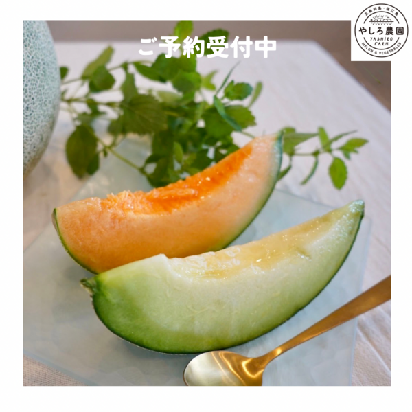 3/17 本日17時より販売スタートです