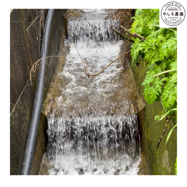 土砂降りの五島列島