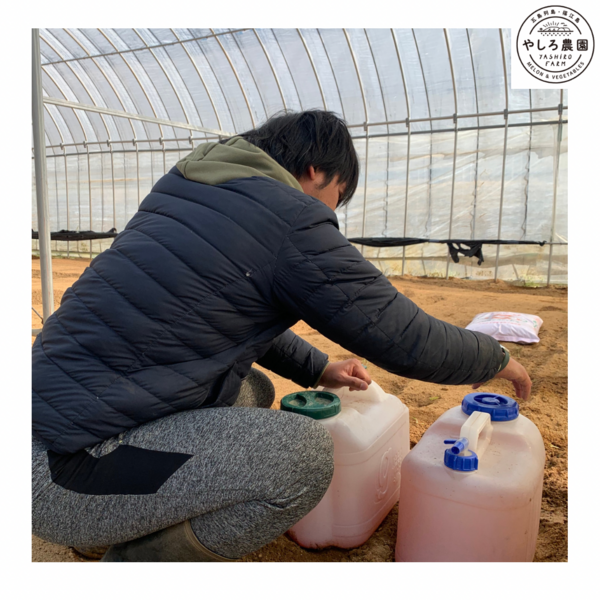 このブログから