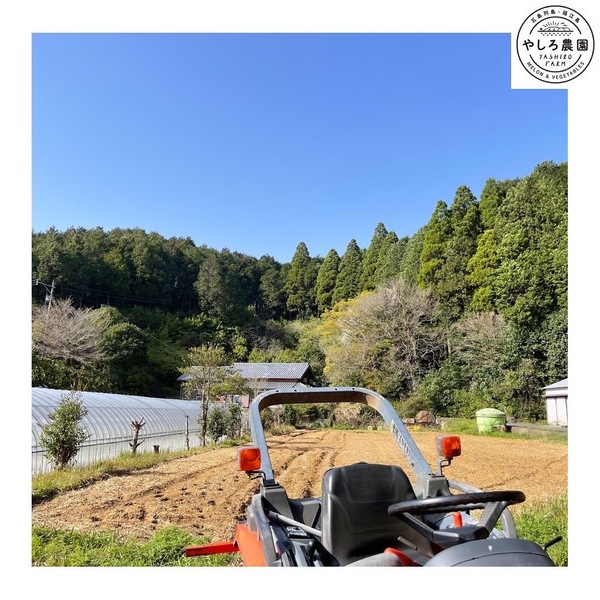 4月1日今日は作業びより