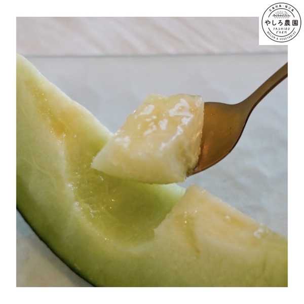 椿メロンの甘さの秘訣!?